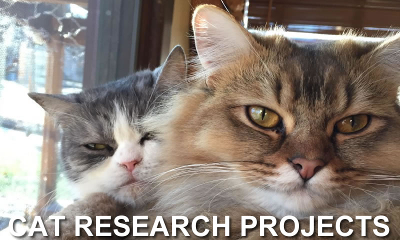 Cat Research Projects