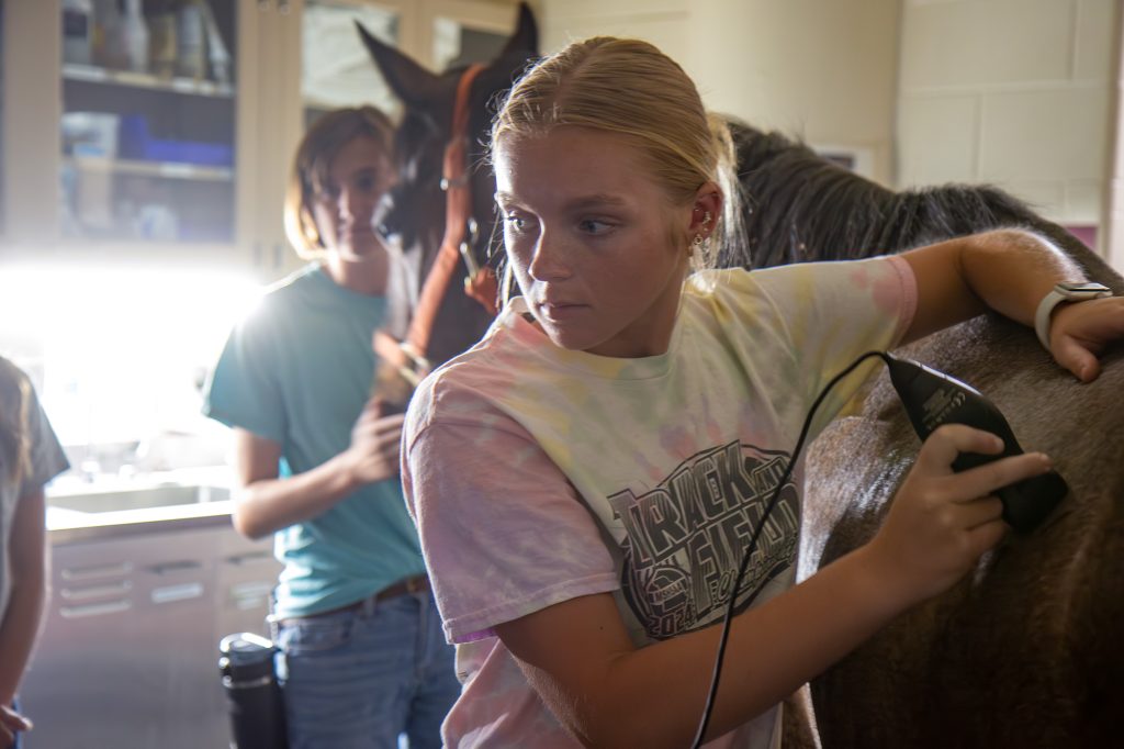 An AVA student learns how to perform an ultrasound on a horse in the MU Veterinary Health Center.