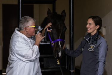 021225_horse_eye_vets_s-940x627