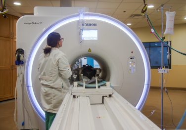 Veterinary Health Center introduces state-of-the-art MRI to Missouri