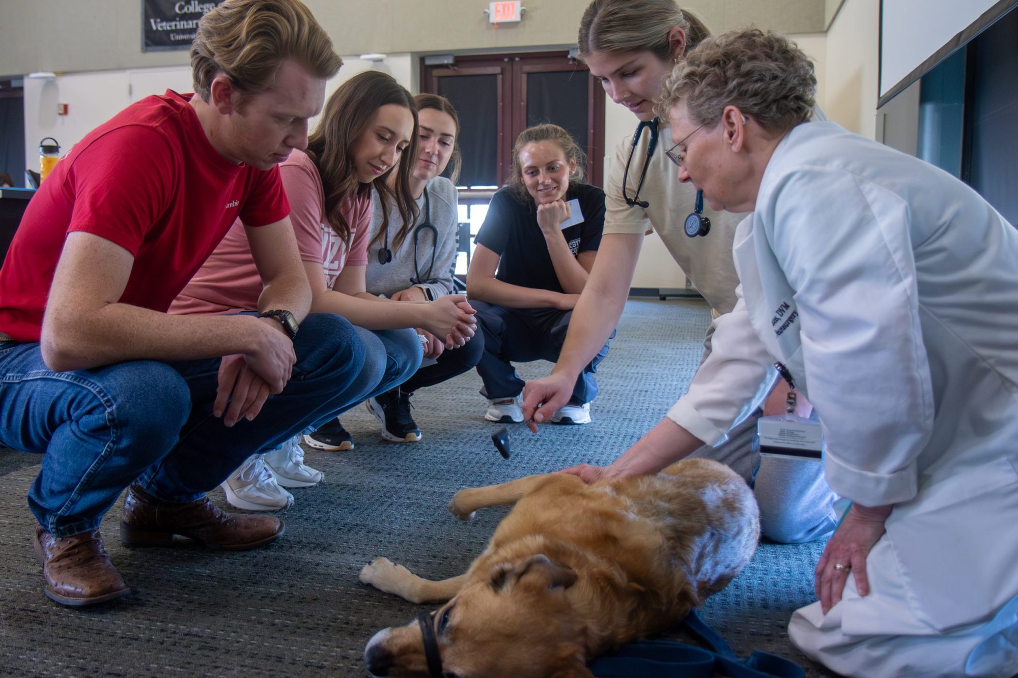 stagner and her peers in a hands-on lab