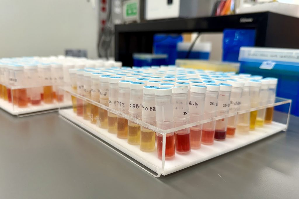 With nearly 204,500 tests processed in 2024 alone, the lab’s updated sample handling areas and modernized workflows support Missouri’s $94 billion agriculture economy — and help safeguard the health of animals and people alike.